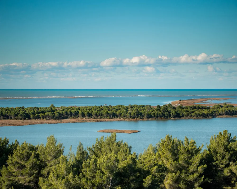 Discovering Divjaka: A Nature Lover's Paradise with TourAlbania